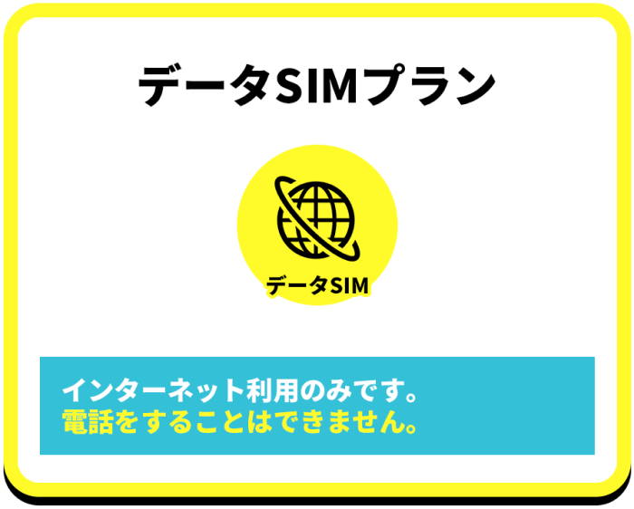 データSIMプラン